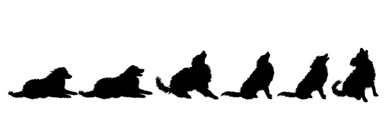 Collection of vector silhouette of dog on white background. Symbol of animal.