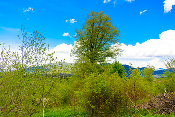 Beautiful mountain panorama with lush greens, blue skies, and puffy clouds