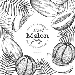 Whole melon and a pieces of melon design template. Hand drawn vector exotic fruit illustration. Engraved style fruit banner. Retro botanical frame.