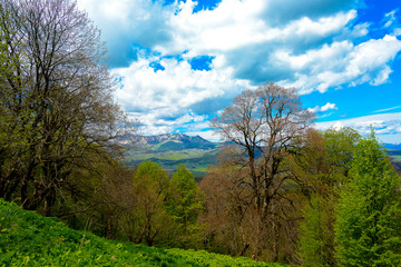 Beautiful mountain panorama with lush greens, blue skies, and puffy clouds