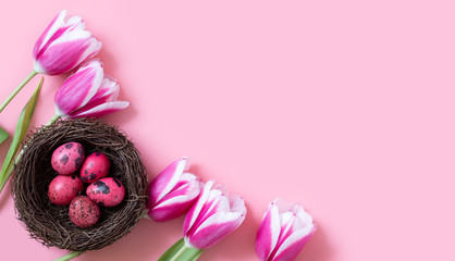 Easter composition with quail eggs in the nest and tulips on a pink background. Copy space, flat lay.