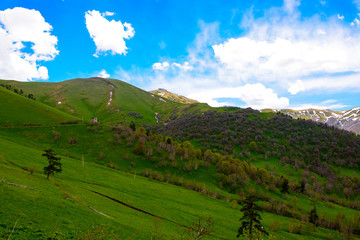 Beautiful mountain panorama with lush greens, blue skies, and puffy clouds