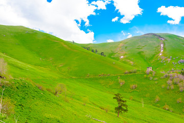 Beautiful mountain panorama with lush greens, blue skies, and puffy clouds