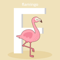 The character of cute flamingo standing with the big font of F for a-z theme. the character of cute flamingo with a font of F in flat vector. The character of cute flamingo in flat vector style.