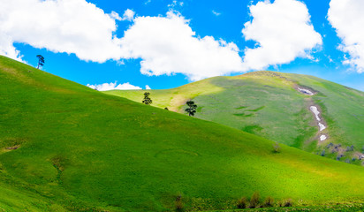 Beautiful mountain panorama with lush greens, blue skies, and puffy clouds