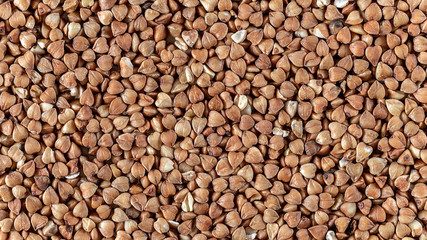 Essential goods: Buckwheat. Buckwheat seed pour in bunch closeup. Buckwheat cereal background.