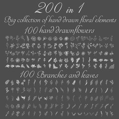 Huge doodle collection of 200 hand-drawn floral elements. Big collection of 100 hand-drawn flowers and 100 brunches and leaves. Big floral botanical set isolated on a white background