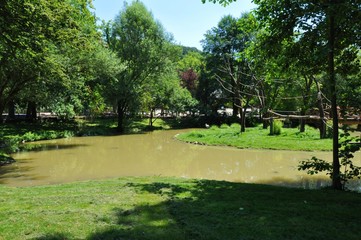 path in the park