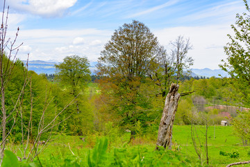 Beautiful mountain panorama with lush greens, blue skies, and puffy clouds