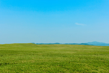 Green grass and sky with white clouds