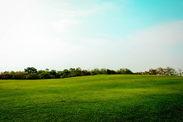 Green grass and sky with white clouds