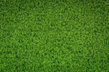 Fototapeta premium Green grass soccer field background.