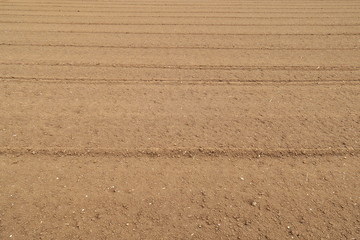 耕作された春の畑