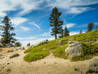 Granite Chief Wilderness, Lake Tahoe, California