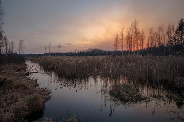 Swamp , sunset in the background