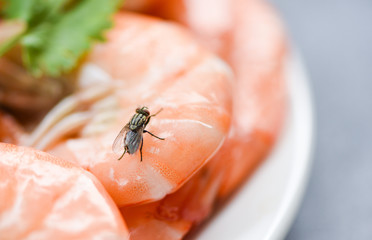 house flies on shrimp the dirty food contamination hygiene concept - fly on food