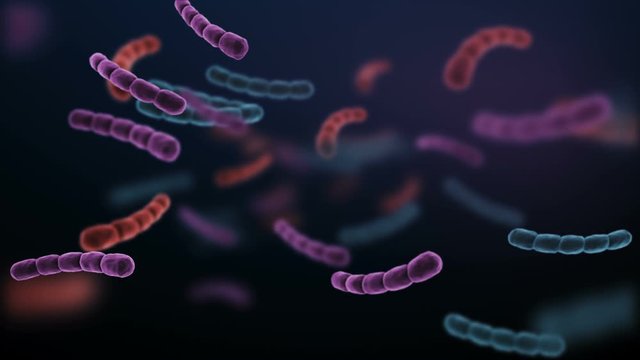 Antibiotic resistant bacteria illness infection and inflammation - 3D Animation Render