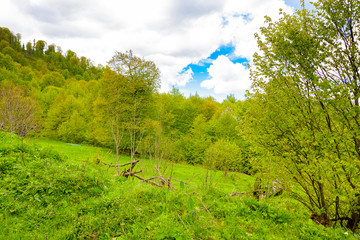 Beautiful mountain panorama with lush greens, blue skies, and puffy clouds