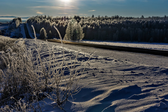 Snowy winter landscape with forest and sideroad in the morning