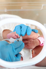 Fototapeta premium Premature newborn baby in intensive care. The concept of saving human lives.Unrecognizable photo. Out of focus.