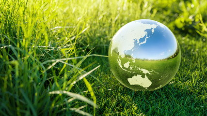 Fototapeta na wymiar Planet Earth crystal ball on a green grass field Environmental protection, ecology and crystal ball of the world. Concept of ecology Protection. 3D rendering