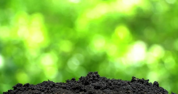 Human hand make hole by shovel, planting seeds and to rake. Closeup side view on green background.