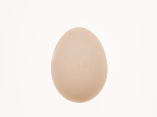 egg isolated on white background top view
