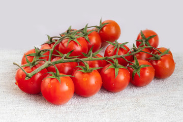 Sprigs of ripe cherry tomatoes close-up. High Key