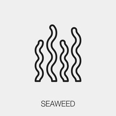 seaweed icon vector sign symbol