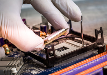 The technician is putting the CPU on the socket of the computer motherboard
