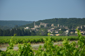 paysage provençal vignobles