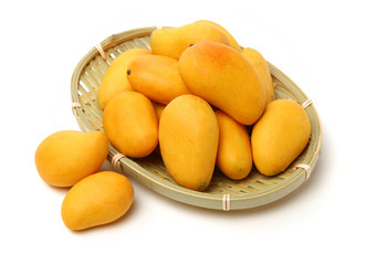 Mango on a white background