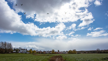 The Water Meadows at Sudbury Suffolk