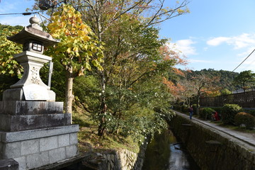 秋の哲学の道