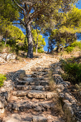 The wonderful bay of Porto Selvaggio. In Nardò, Italy, Puglia, Salento. The path with stairs and stones that leads to the top of the promontory, inside the pine forest and in the Mediterranean scrub.