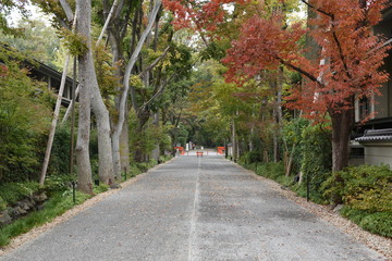 Obraz premium 京都下鴨神社
