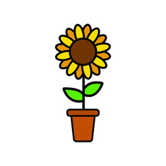 Obraz premium sunflower in a pot Illustration