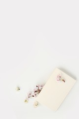 beautiful tender still life, card on a beige background, magnolia buds, a cup of cappuccino, concept of a floral spring background