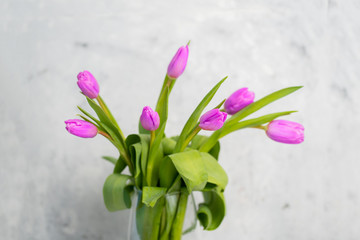 Fototapeta na wymiar Spring flower pink tulips