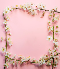 Frame of flowering tree branches on a pink background with copy space. Greeting spring card with place for text. Easter