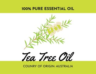 Obraz premium Tee tree oil label of plant from Australia. Malaleuca twig with flowers and leaves. Great for package. Vector