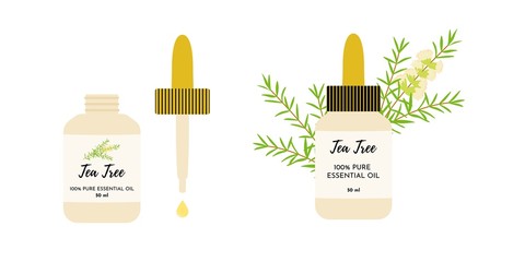 Tea tree essential oil in glass bottles. Eye dropper dropping oil. Malaleuca twigs with flowers and leaves on the background. Vector illustration isolated