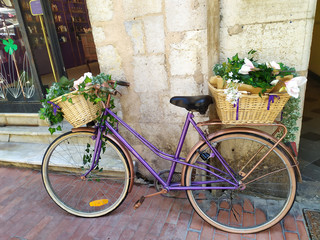 Fototapeta na wymiar bicycle with flower baskets on a French street