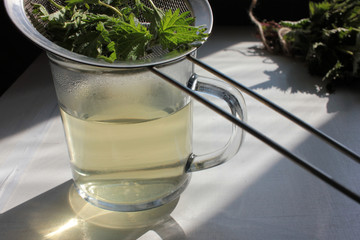 Fresh herbal tea made from the leaves and roots of the stinging nettle plant in the glass cup on the white background. Natural way to boost the immune system and fight flu. Harsh light. Copy space. 
