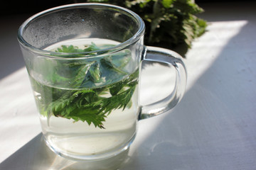 Fresh herbal tea made from the leaves and roots of the stinging nettle plant in the glass cup on the white background. Natural way to boost the immune system and fight flu. Harsh light. Copy space. 
