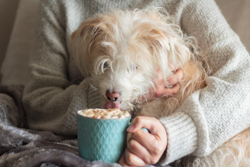 Woman holding mug of hot drink with whipped cream and funny dog licking the cream