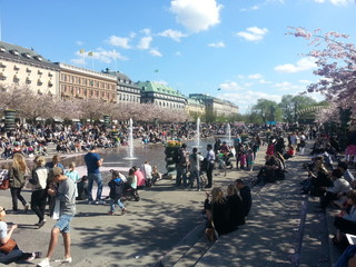 people on street