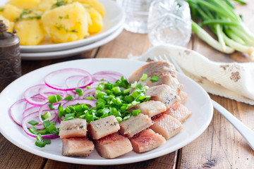 Homemade salted herring cut into pieces on a plate with green and salad onions, selective focus