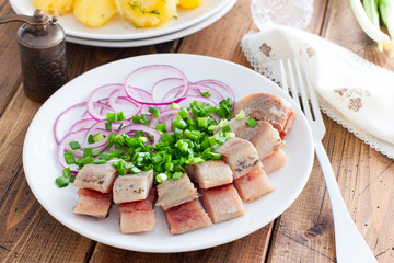 Homemade salted herring cut into pieces on a plate with green and salad onions, selective focus