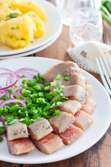 Homemade salted herring cut into pieces on a plate with green and salad onions, selective focus